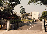 写真04