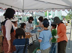 CIMG1429-1.jpg