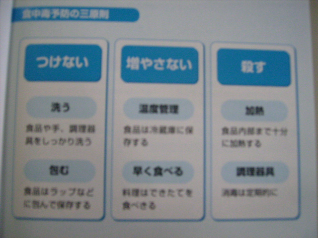 画像 355.jpg
