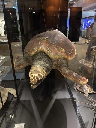 IMG_3036.jpeg