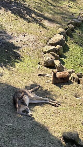IMG_3750.jpeg
