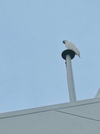 IMG_3133.jpeg