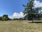 IMG_1008.jpeg