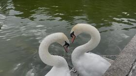 IMG_4336.jpeg