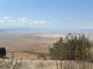 IMG_6097.jpeg