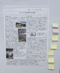 blog-4 IMG_2742.jpg