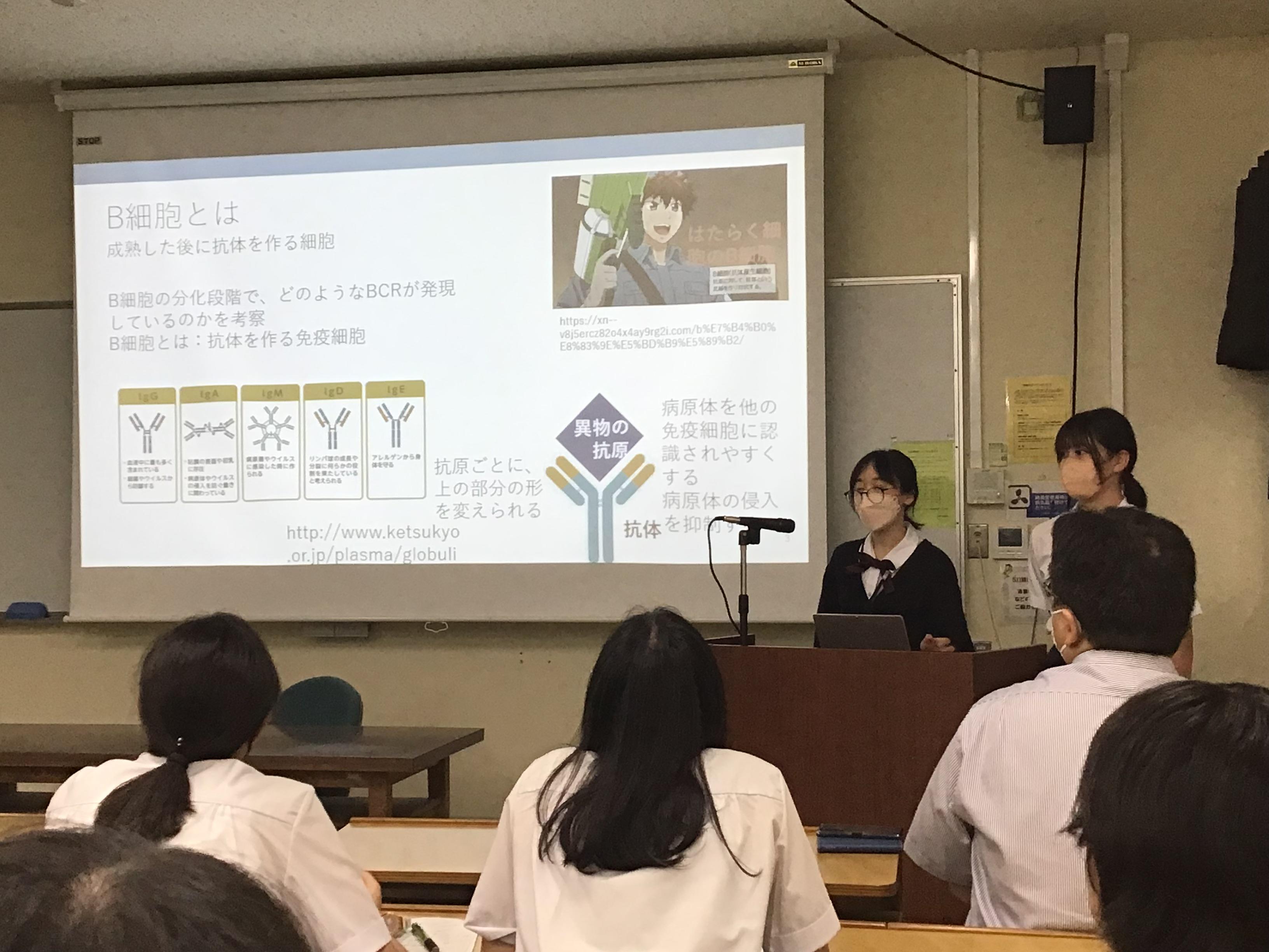 IMG_0217.jpeg
