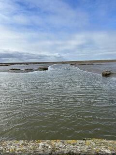 IMG_1287.jpg