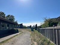 IMG_2745.jpeg