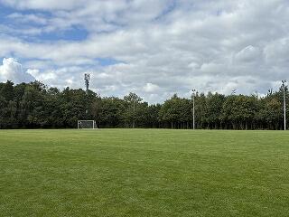 IMG_3137.jpg
