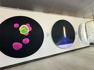 IMG_6939.jpg