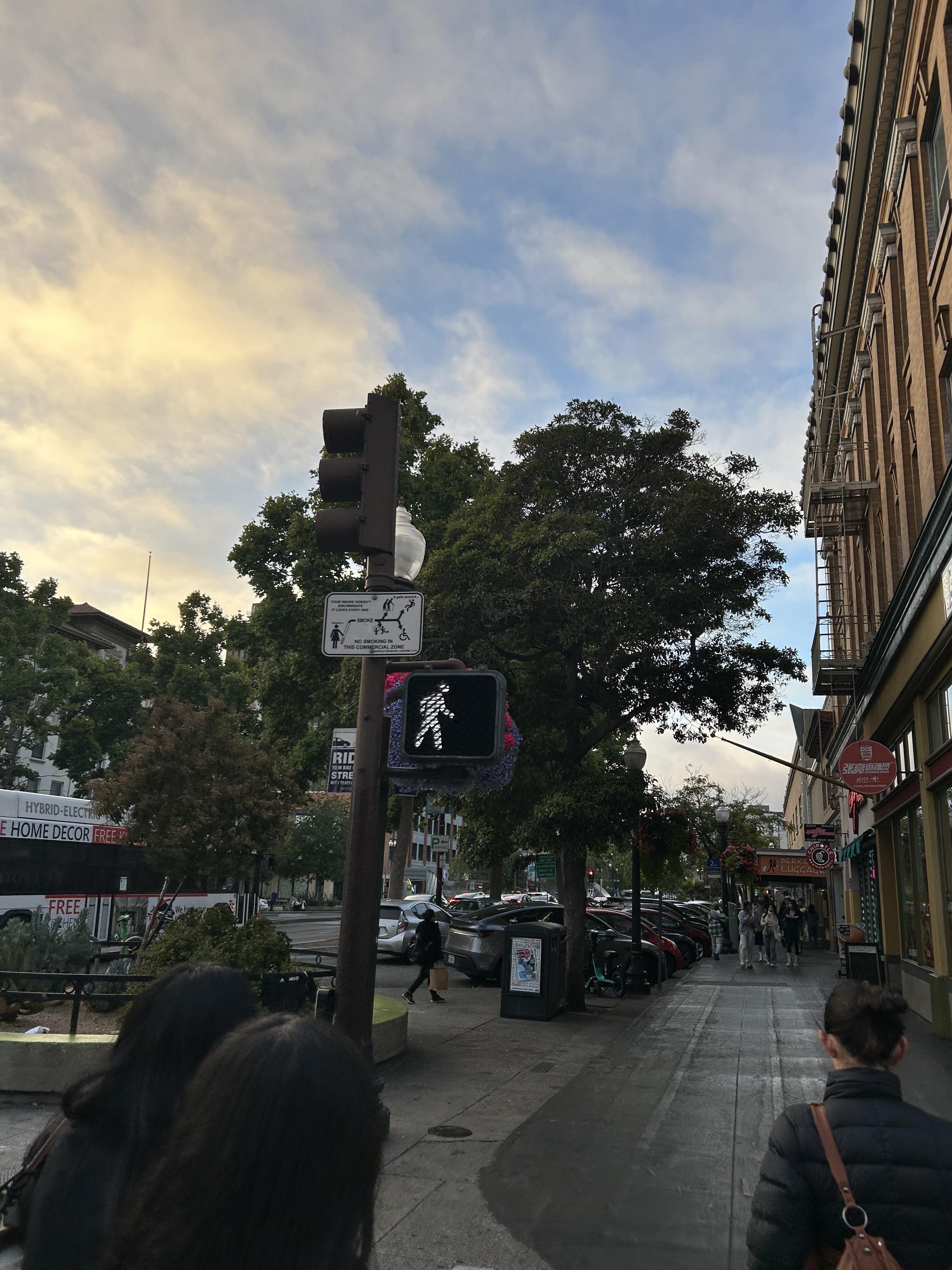 IMG_7031.jpeg