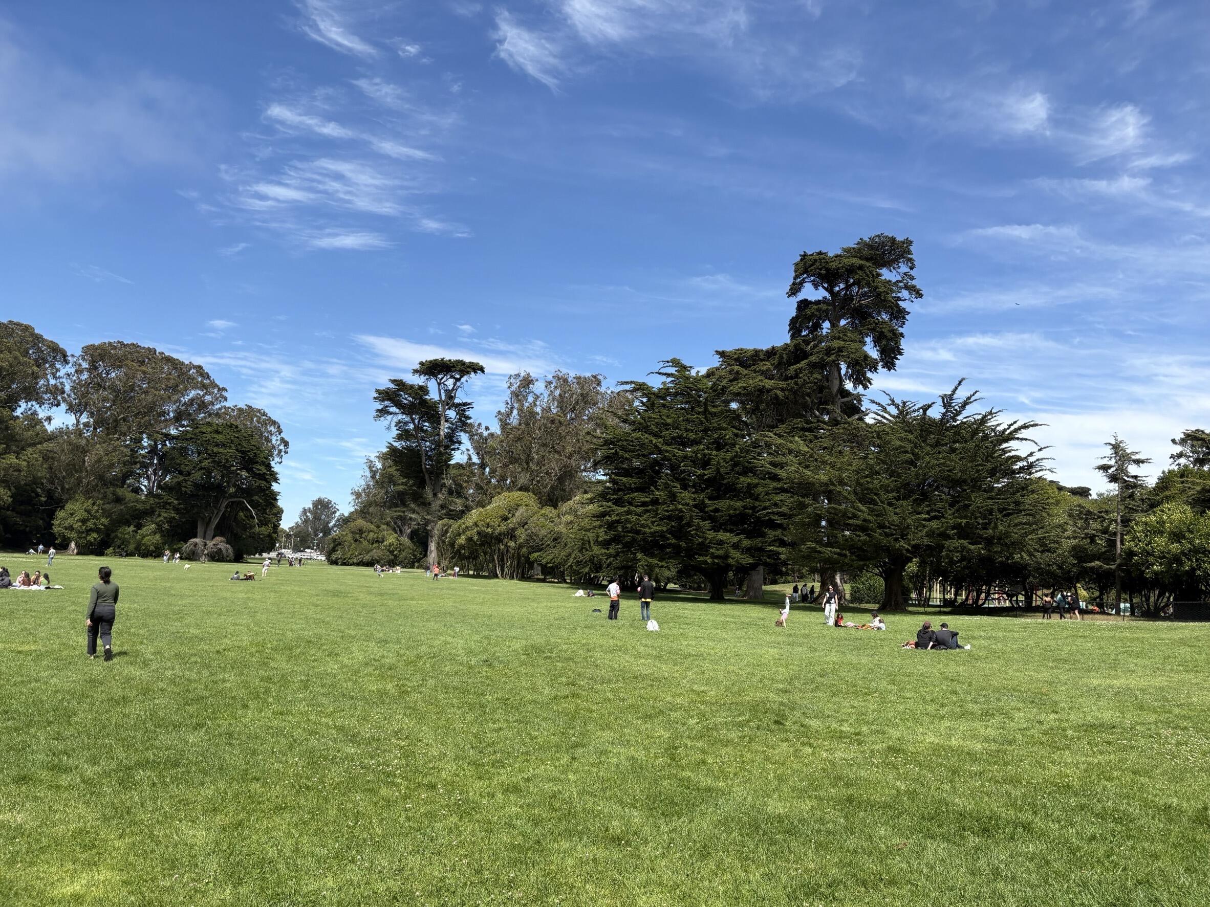 IMG_7193.jpeg