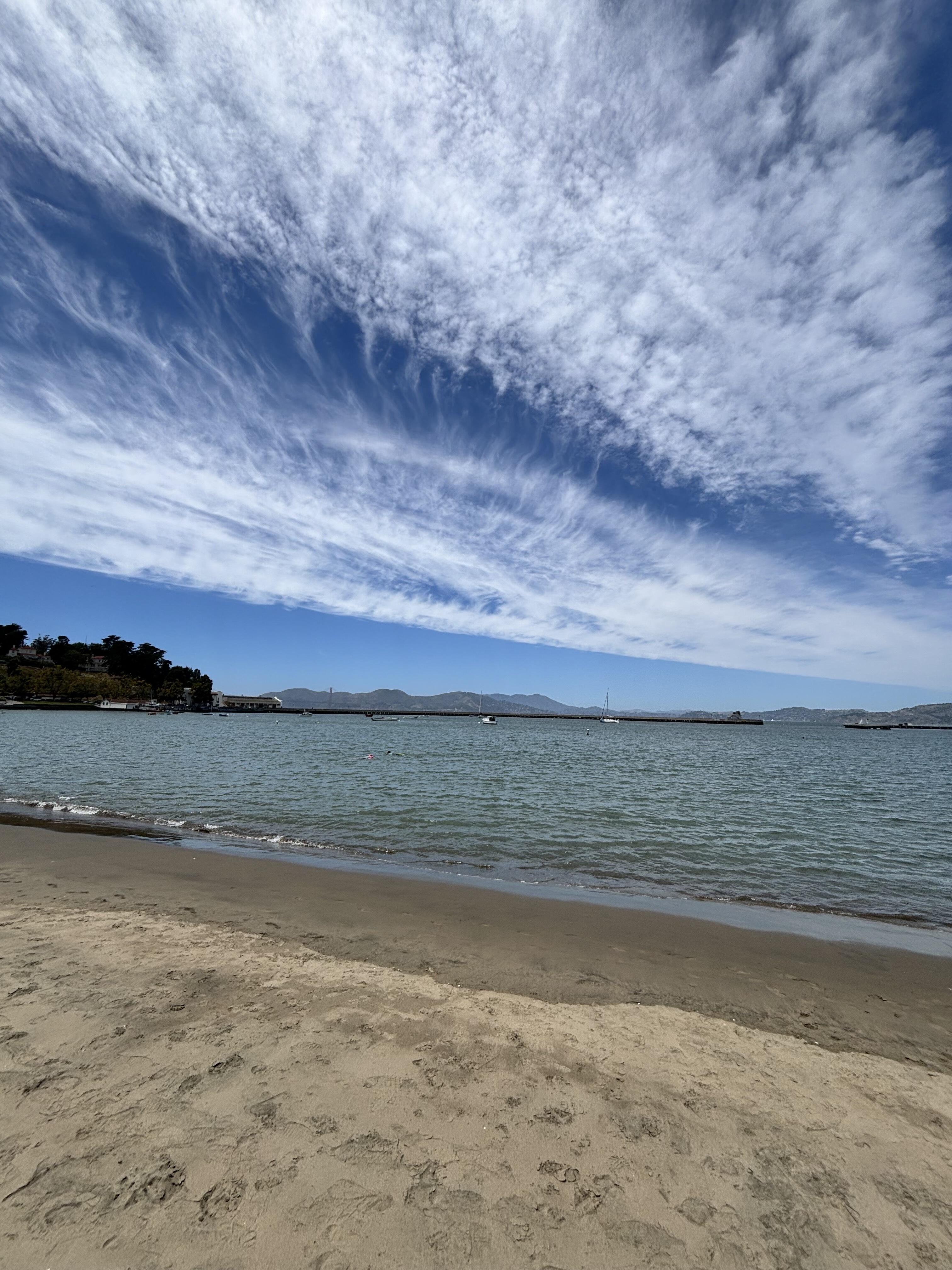 IMG_7280.jpeg