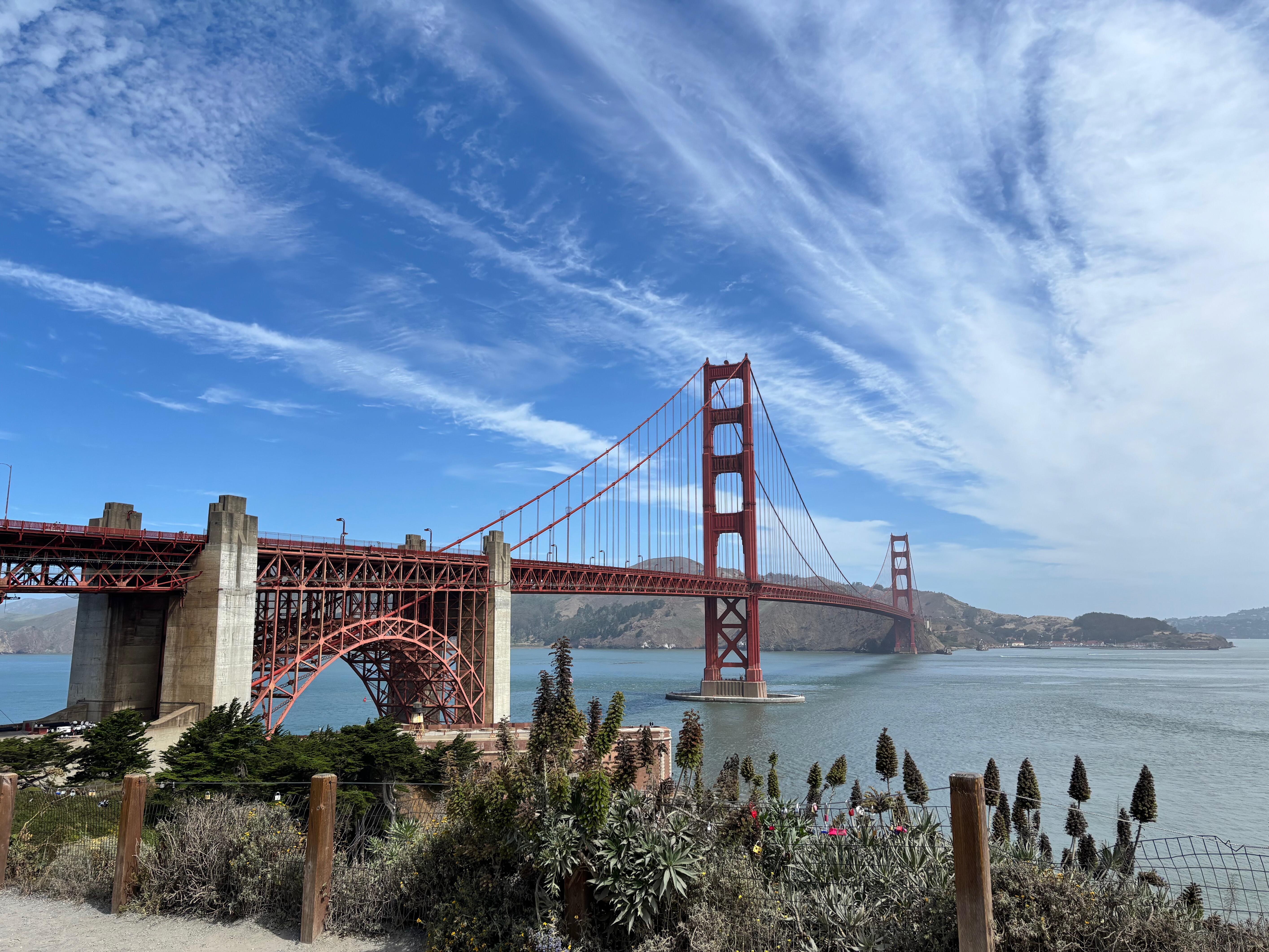 IMG_7282.jpeg