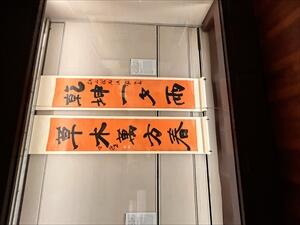IMG_9295_R.jpeg