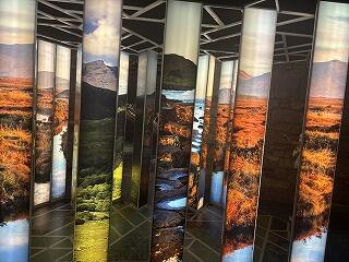 Image_20250724_180005_228.jpg