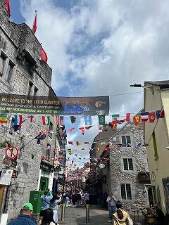 Image_20250727_080335_418.jpg