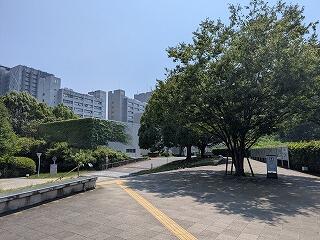 PXL_20250804_041709501.jpg
