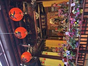 IMG_5823_R.jpeg