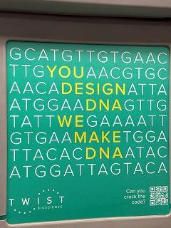 codon.jpg