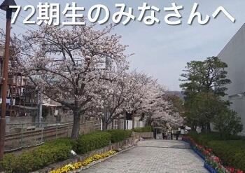 20250314j111.jpg