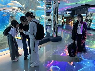 20261029j3d02.jpg