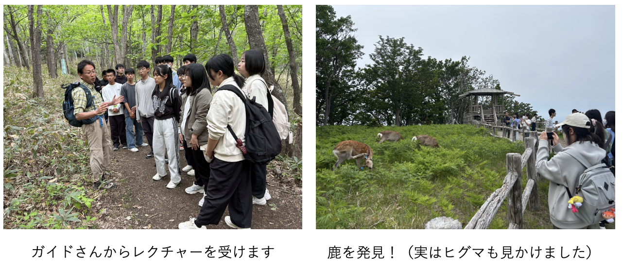 スクリーンショット 2025-06-11 16.29.53.png