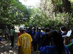 DSCN3256.jpg