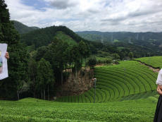 相楽郡和束町