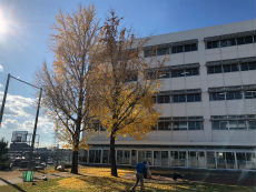 20171206-1.jpg