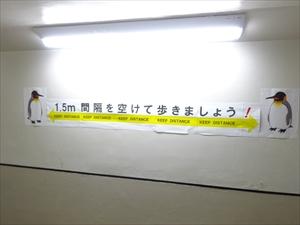 20200525-1.jpg