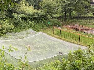 20210820-1.jpg