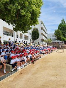20240523-2.jpg