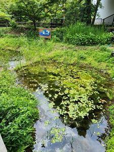 20240610-4.jpg