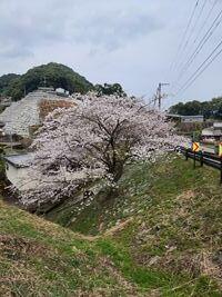 20250328-3.jpg