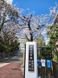 20250405-1.jpg