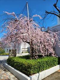 20250405-2.jpg