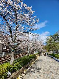 20250405-3.jpg