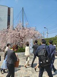 20250407-2.jpg