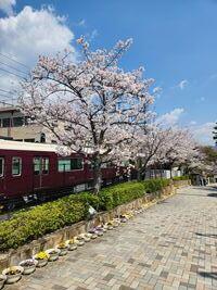 20250407-5.jpg