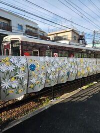 20250411-6.jpg