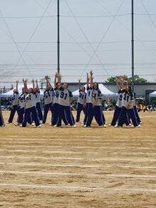 20250522-2.jpg