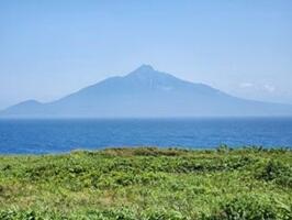 20250729-1.jpg