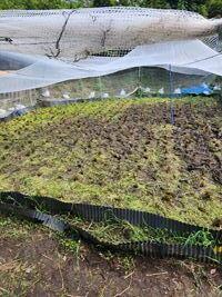 20251008-2.jpg