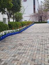 20260413-3.jpg