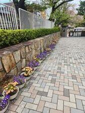 20260413-4.jpg
