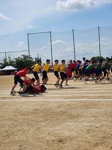 20260514-5.jpg