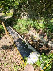 20260522-3.jpg