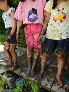 20260603-3.jpg
